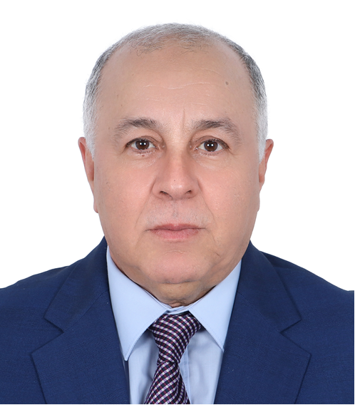 Prof. Ahmed Bouridane